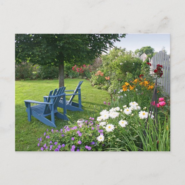 Back Yard Garden Postcard (Front)