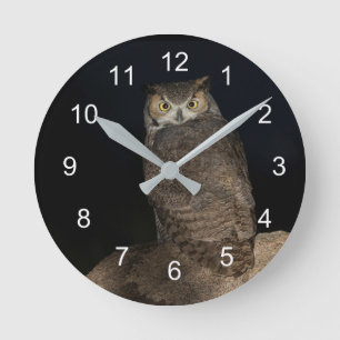 Back yard Great Horned Owl Round Clock