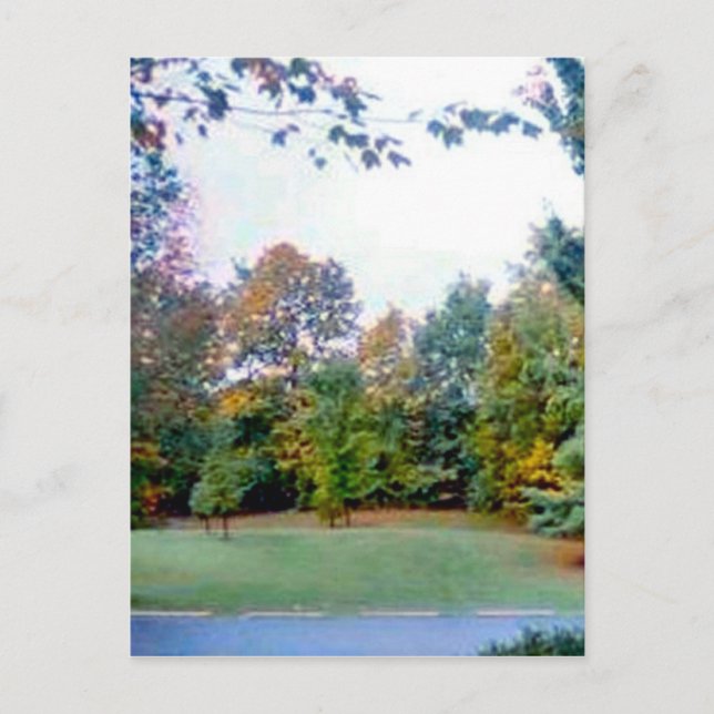 Back Yard Postcard (Front)