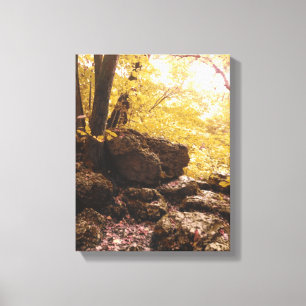 backbone state park iowa canvas print