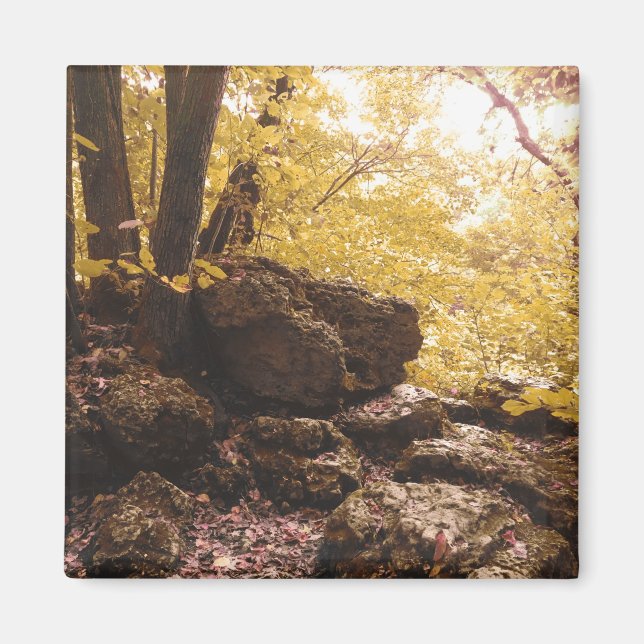 backbone state park iowa magnet (Front)