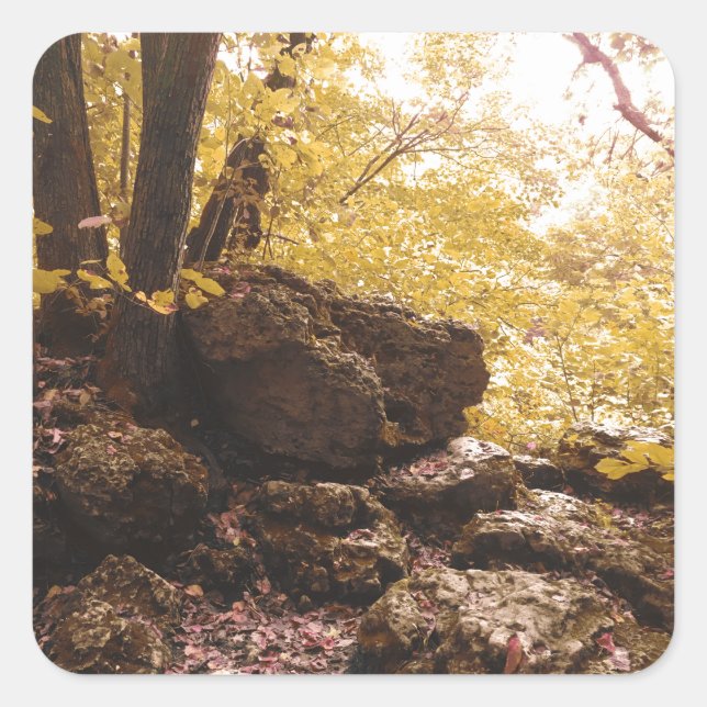 backbone state park iowa square sticker (Front)