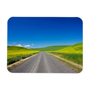 Backcountry road through Spring Canola Fields Magnet