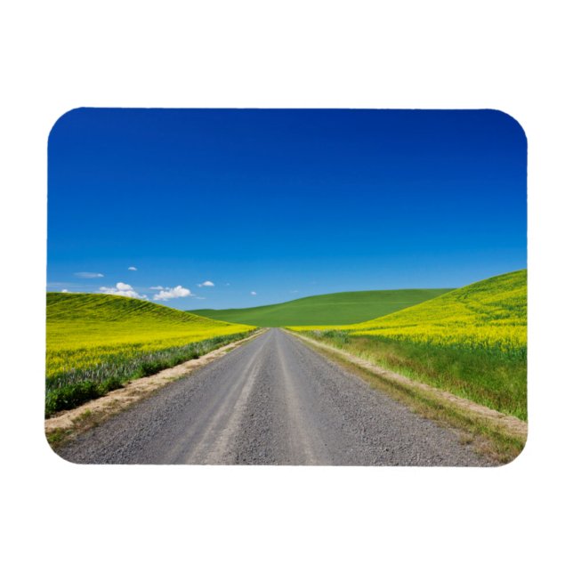 Backcountry road through Spring Canola Fields Magnet (Horizontal)