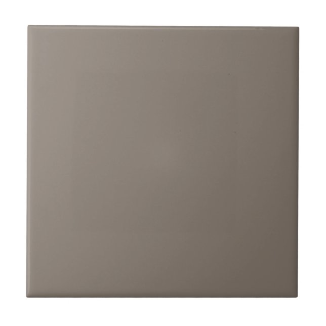 Backdrop Brown Square Kitchen and Bathroom Tile (Front)
