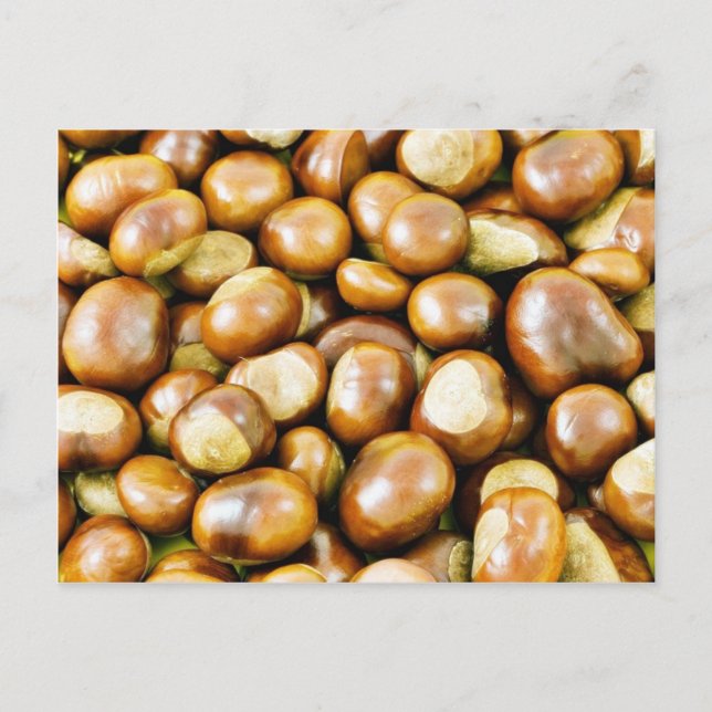 Background From Conkers Postcard (Front)