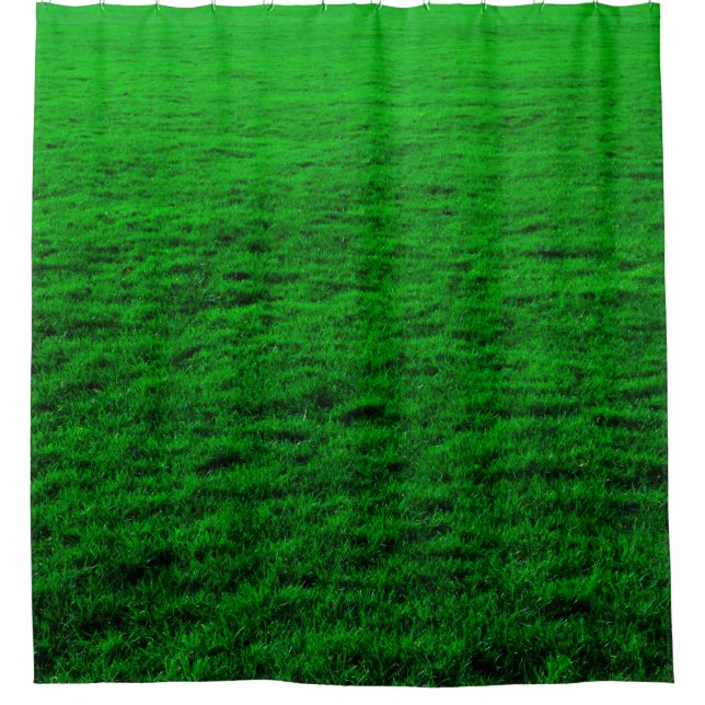 Background green grass lawn (Front)