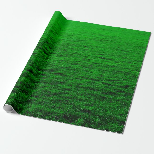Background green grass lawn wrapping paper (Unrolled)
