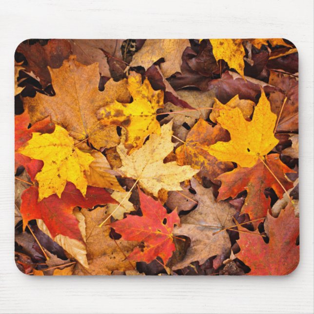 Background Of Colourful Autumn Leaves On Forest Mouse Pad (Front)