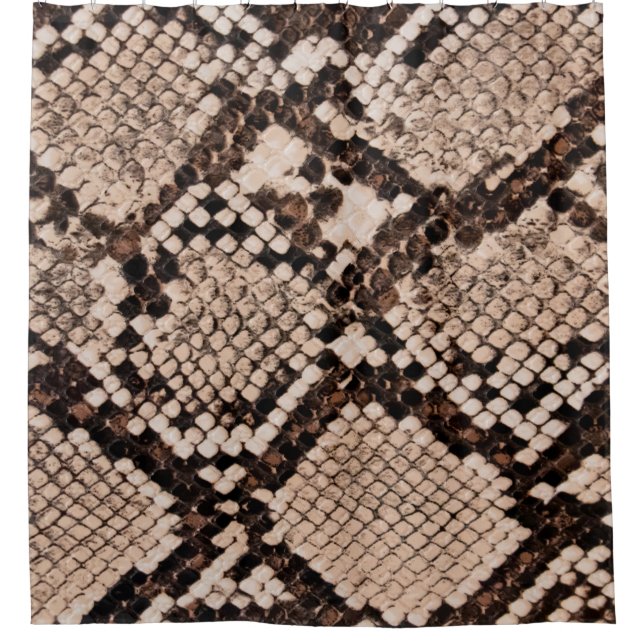 background of snake skin texture (Front)