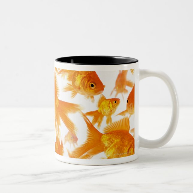 Background Showing a Large Group of Goldfish Two-Tone Coffee Mug (Right)