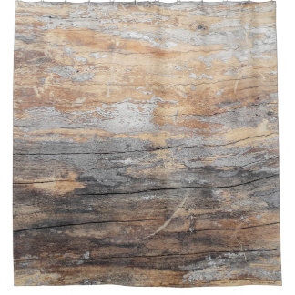 background texture old beautiful treeabstract, bac