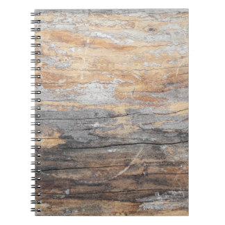 background texture old beautiful treeabstract, bac notebook