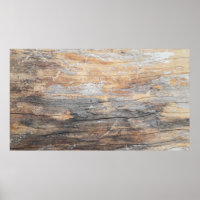 background texture old beautiful treeabstract, bac