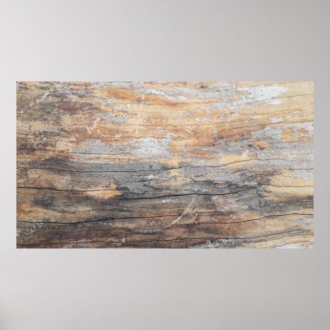 background texture old beautiful treeabstract, bac poster (Front)