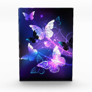 Background with Night Butterflies Photo Block