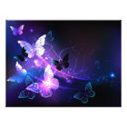 Background with Night Butterflies