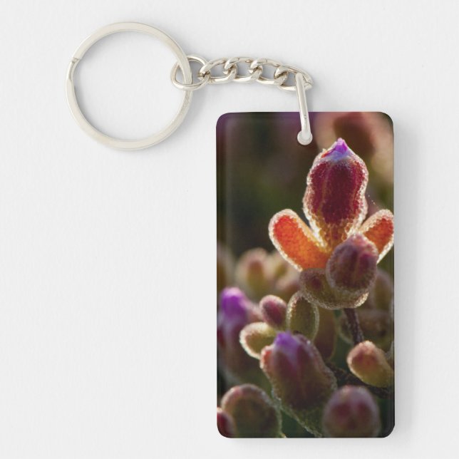 Backlit Colourful Succulent Flower Bud With Rim Keychain (Front)