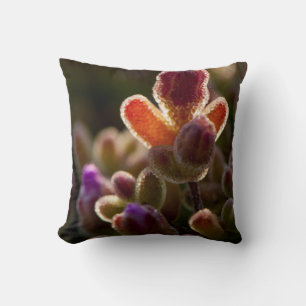Backlit Colourful Succulent Flower Bud With Rim Throw Pillow
