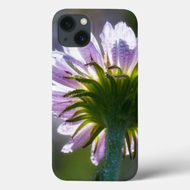 Backlit Purple Wildflower With Dewdrops Case-Mate iPhone Case (Back)