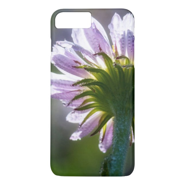 Backlit Purple Wildflower With Dewdrops Case-Mate iPhone Case (Back)