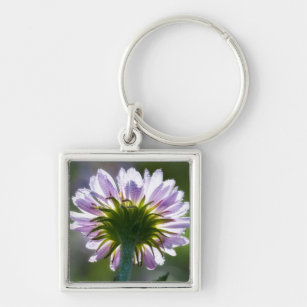 Backlit Purple Wildflower With Dewdrops Keychain