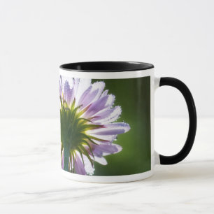Backlit Purple Wildflower With Dewdrops Mug