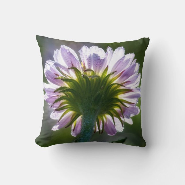 Backlit Purple Wildflower With Dewdrops Throw Pillow (Front)