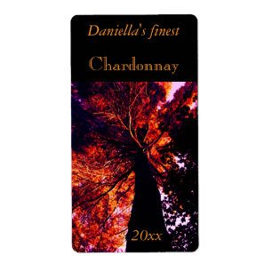 Backlit tall old tree wine label