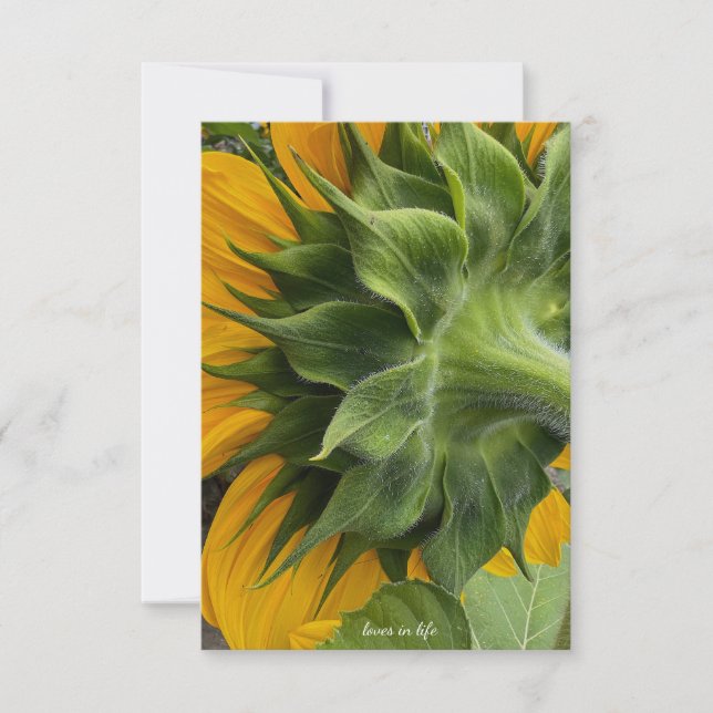 Backside of Sunflower Card (Front)