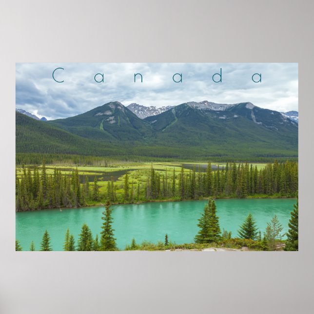 Backswamp at Banff Poster (Front)