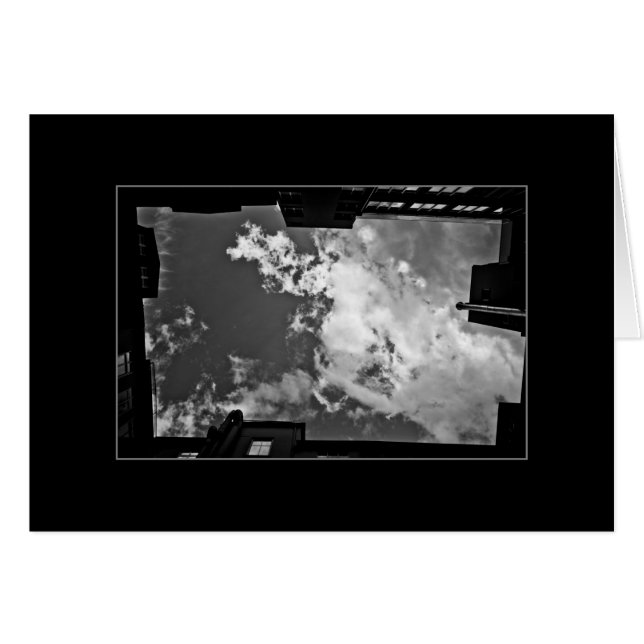 Backyard (Front Horizontal)