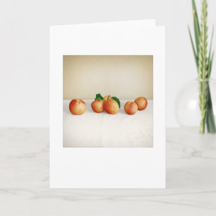 Backyard Apricots Still-Life Blank Greeting Card