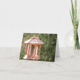 Backyard Bird Feeder Note Card