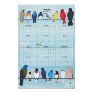 backyard birds 2025 wall calendar poster