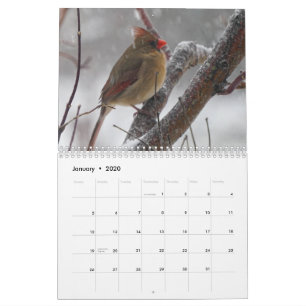 Backyard Birds Calendar