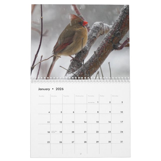 Backyard Birds Calendar (Jan 2026)