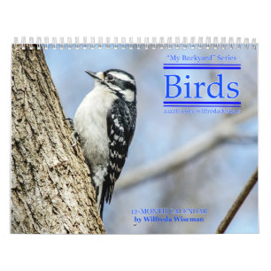 Backyard Birds Calendar 4th in Series