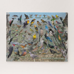 Backyard Birds of Eastern Oregon Jigsaw Puzzle