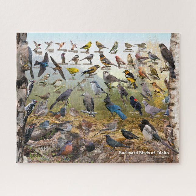 Backyard Birds of Idaho Jigsaw Puzzle (Horizontal)