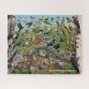 Backyard Birds of Illinois Puzzle