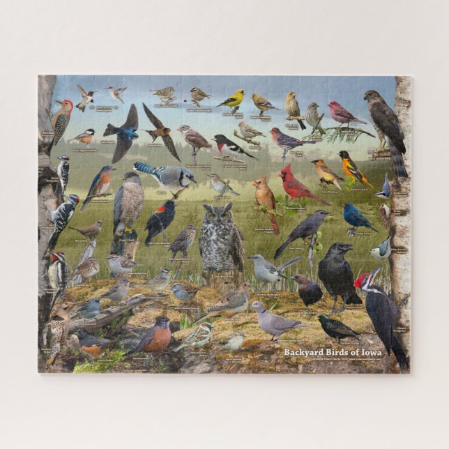 Backyard Birds of Iowa Jigsaw Puzzle (Horizontal)