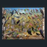 Backyard Birds of Manitoba Poster<br><div class="desc">A great quick reference poster of the common backyard birds of Manitoba. The perfect gift for anyone that feeds or loves birds in Manitoba</div>