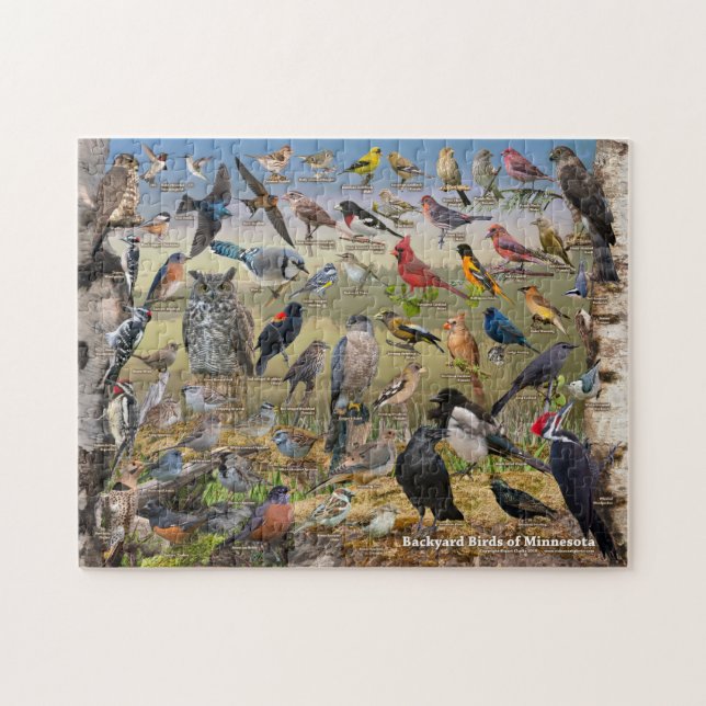 Backyard Birds of Minnesota Jigsaw Puzzle (Horizontal)