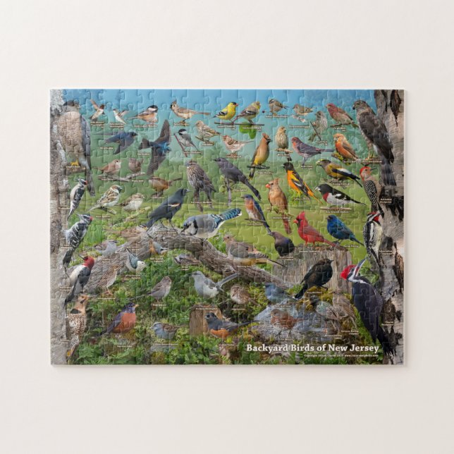 Backyard Birds of New Jersey Jigsaw Puzzle (Horizontal)