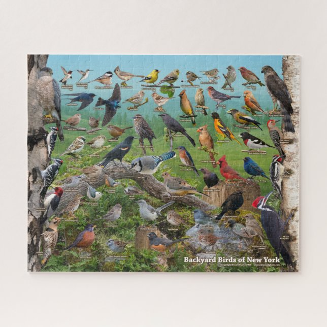 Backyard Birds of New York Jigsaw Puzzle (Horizontal)
