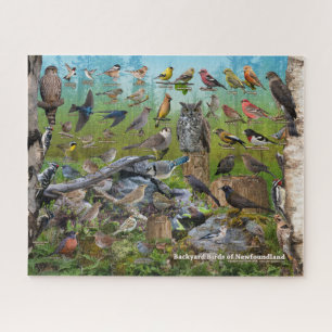 Backyard Birds of Newfoundland Jigsaw Puzzle