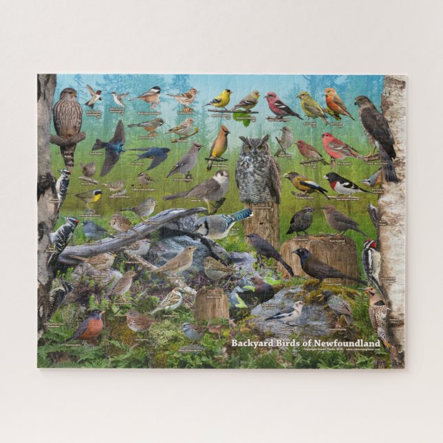 Backyard Birds of Newfoundland Jigsaw Puzzle (Horizontal)