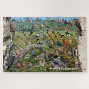 Backyard Birds of Nova Scotia Jigsaw Puzzle