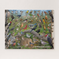 Backyard Birds of Ohio Puzzle